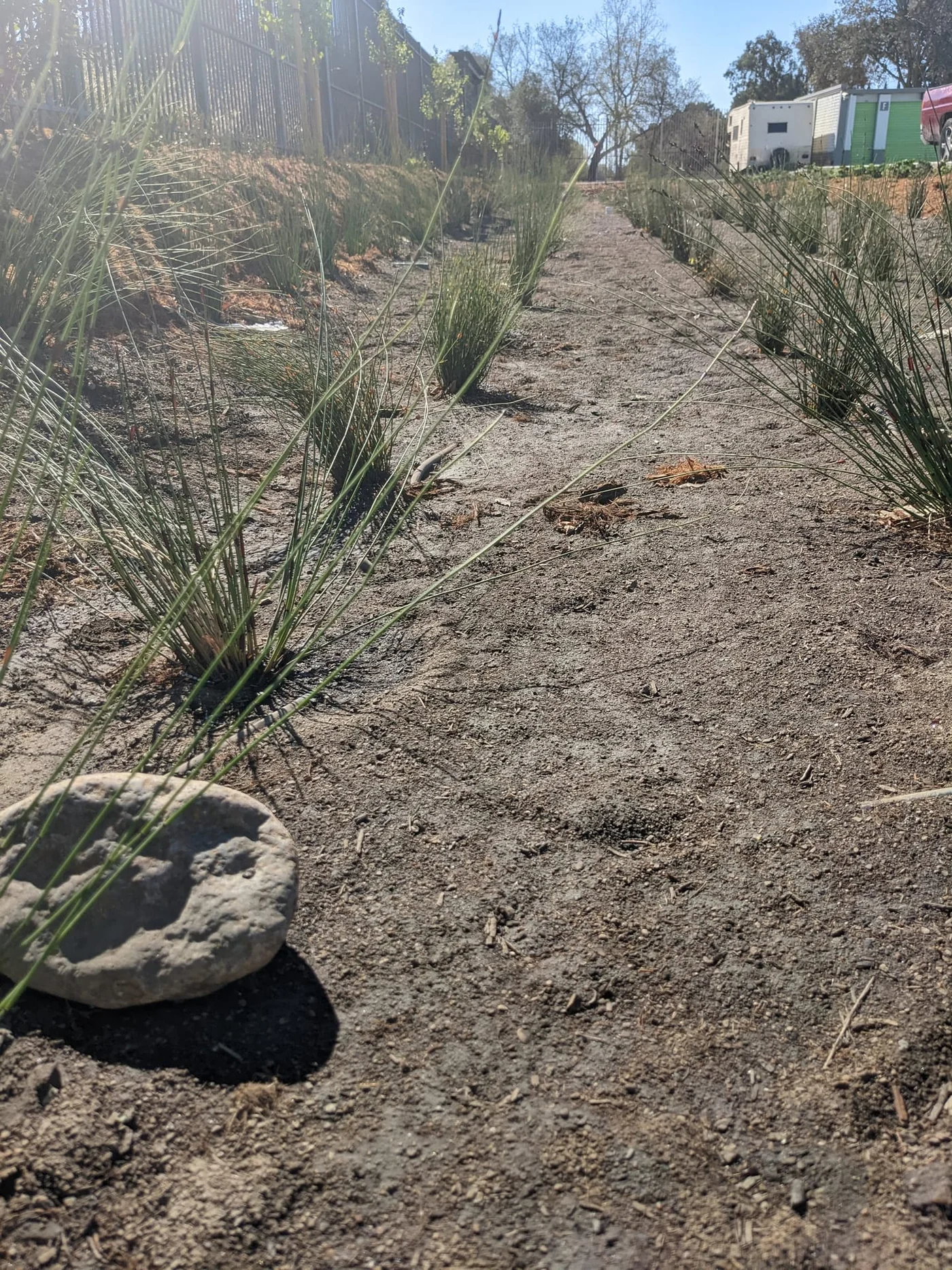 Completed yard transformation