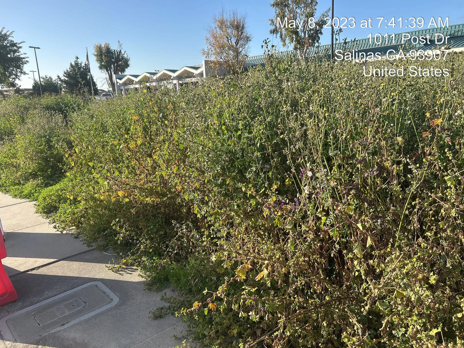 Artificial Turf Installation in Watsonville, CA: Coastal Considerations