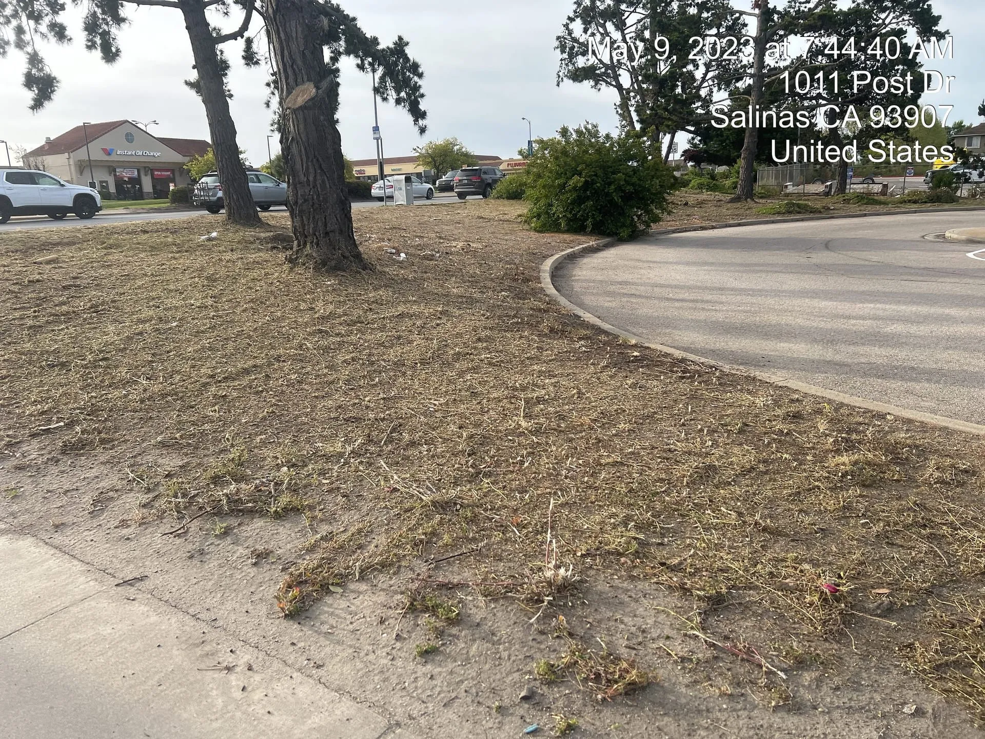 Lawn care excellence