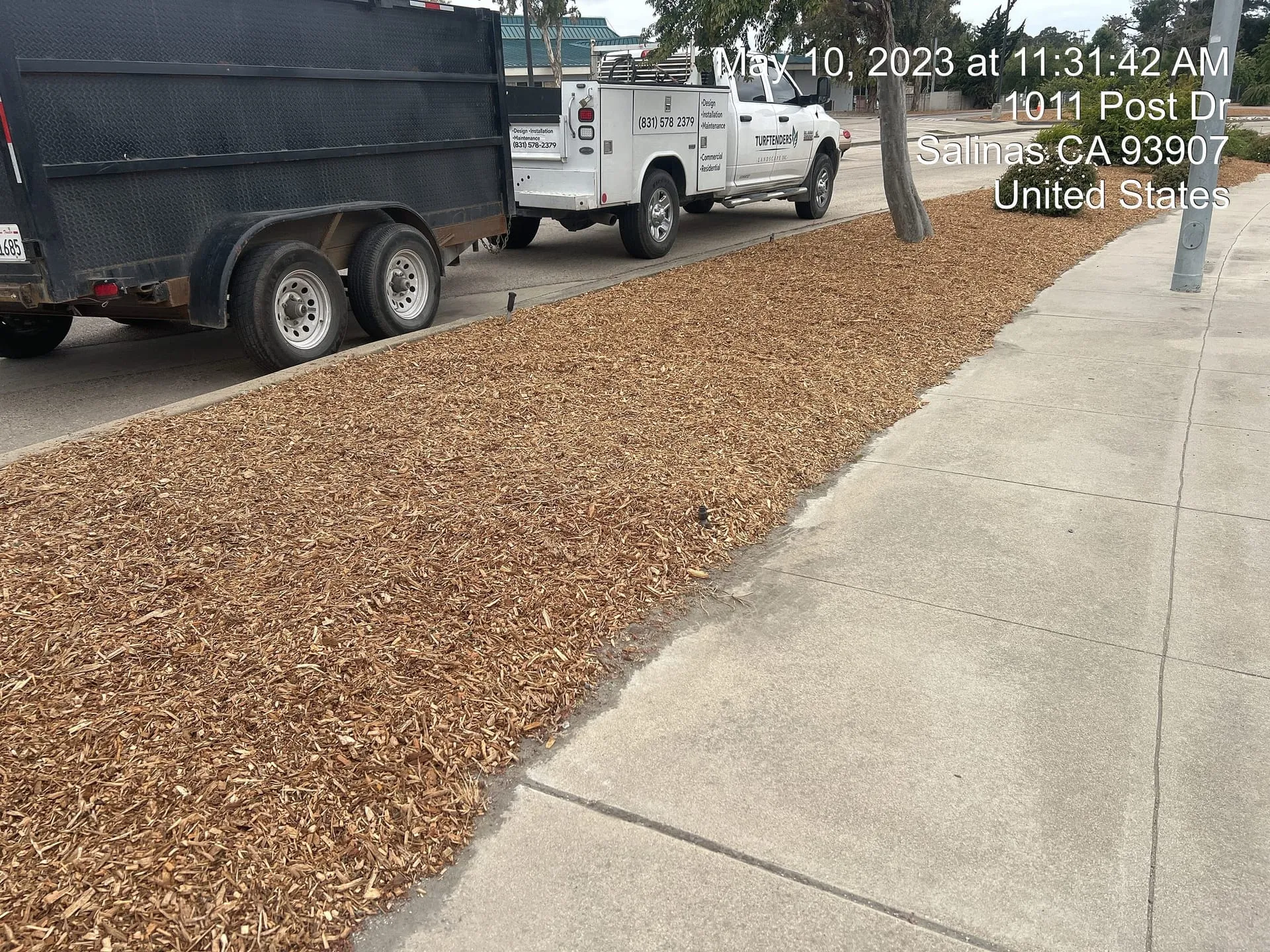 Recent project detail