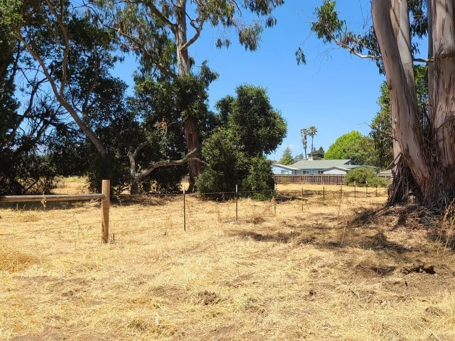 Defensible Space Clearing in Prunedale and Pebble Beach
