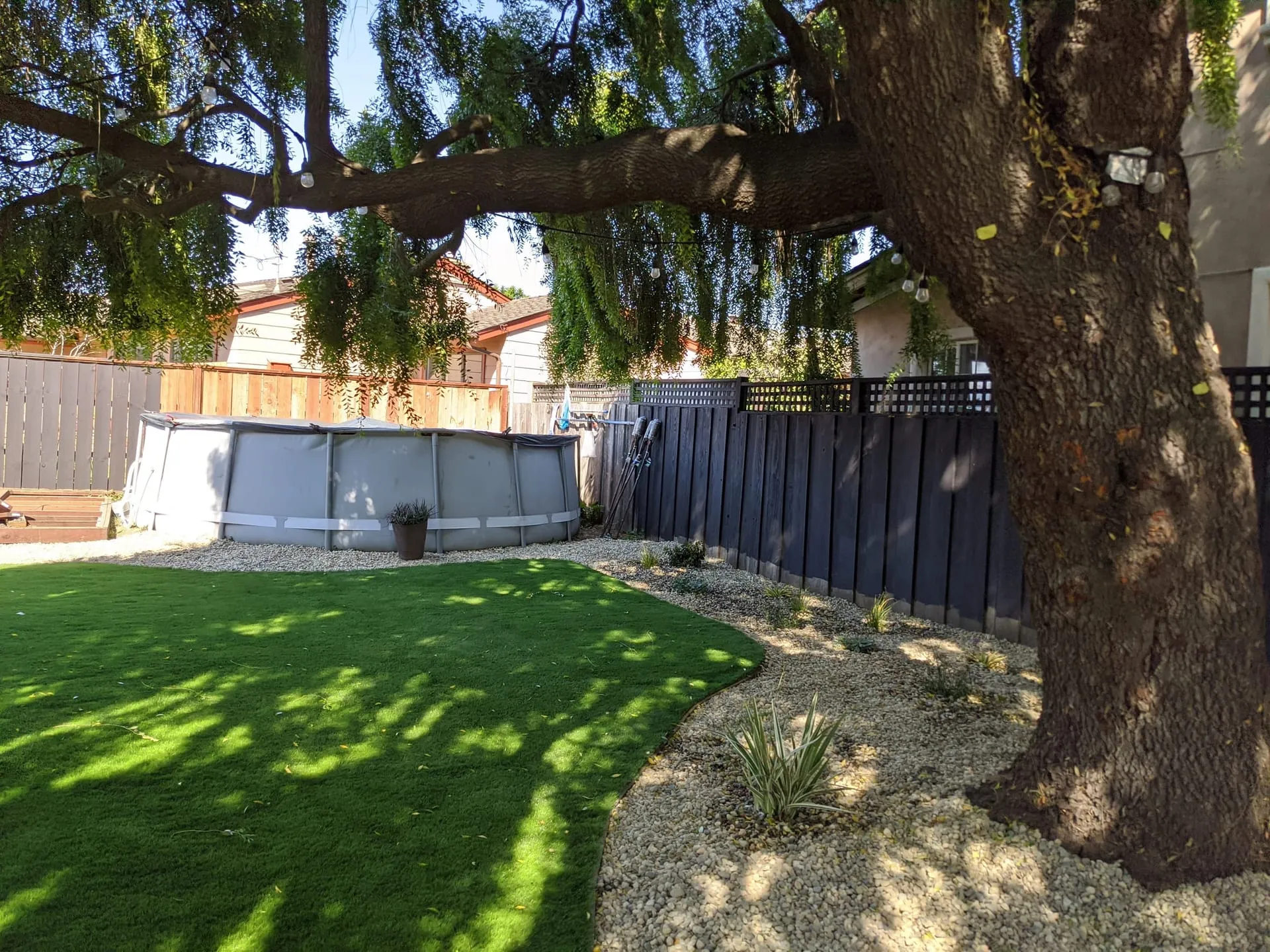 Tree Removal Cost in Monterey County: What Sets the Price