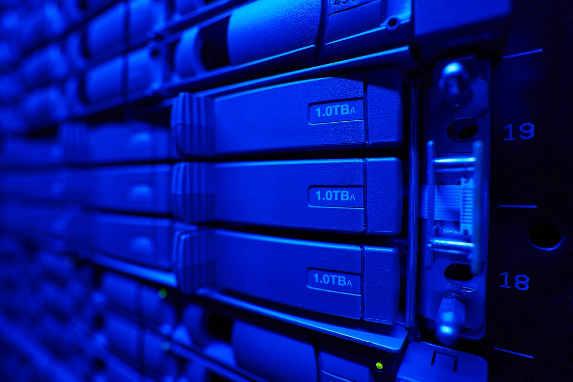 Hard drives mounted in a data center storage array