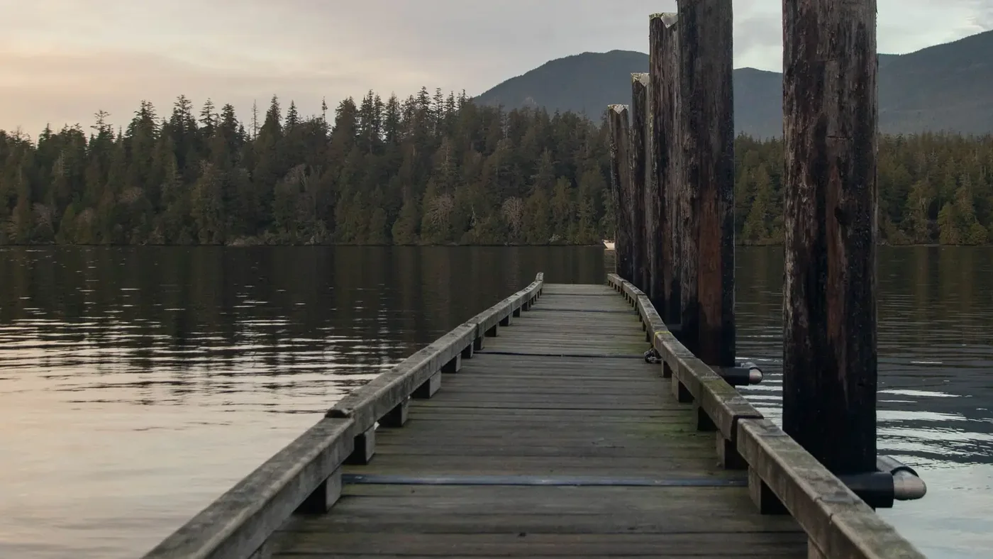 Wooden dock extending over a quiet lake cove with a forested shoreline