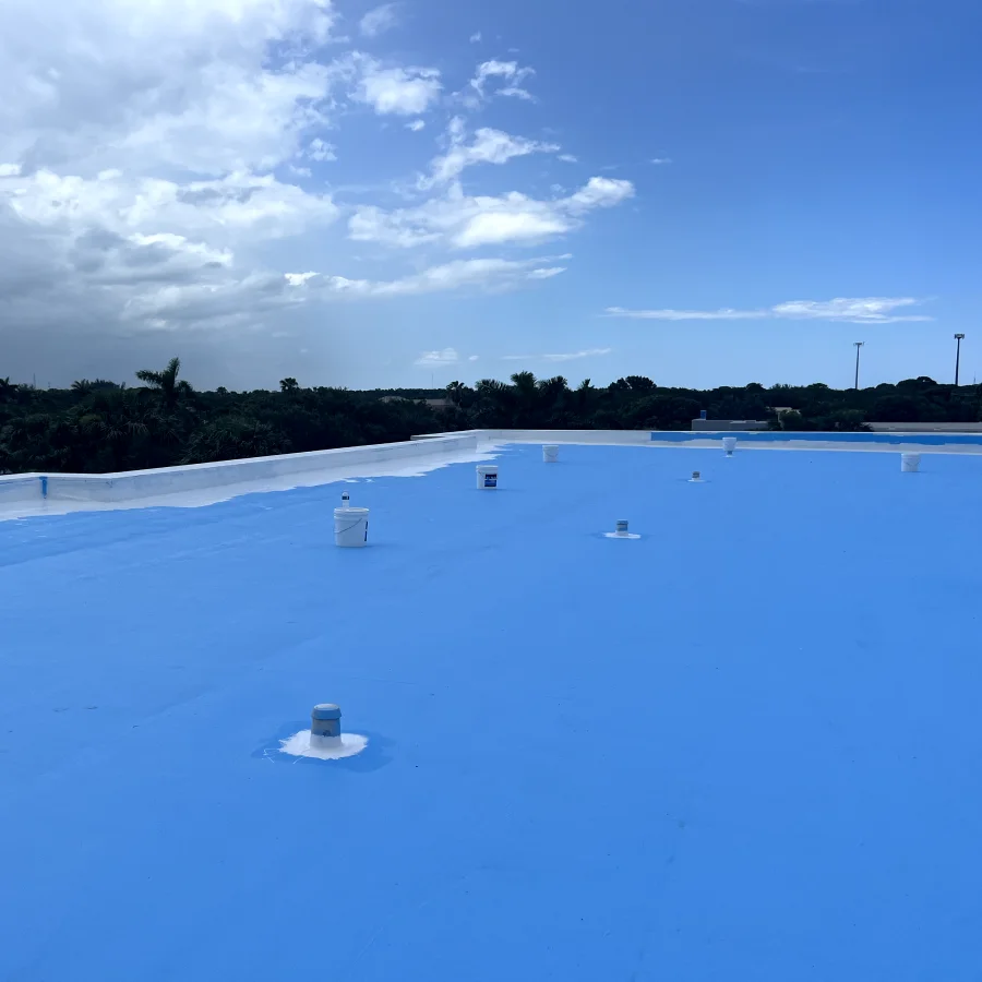 roof coating on a library